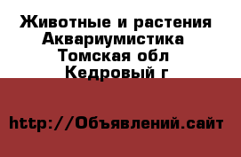 Животные и растения Аквариумистика. Томская обл.,Кедровый г.